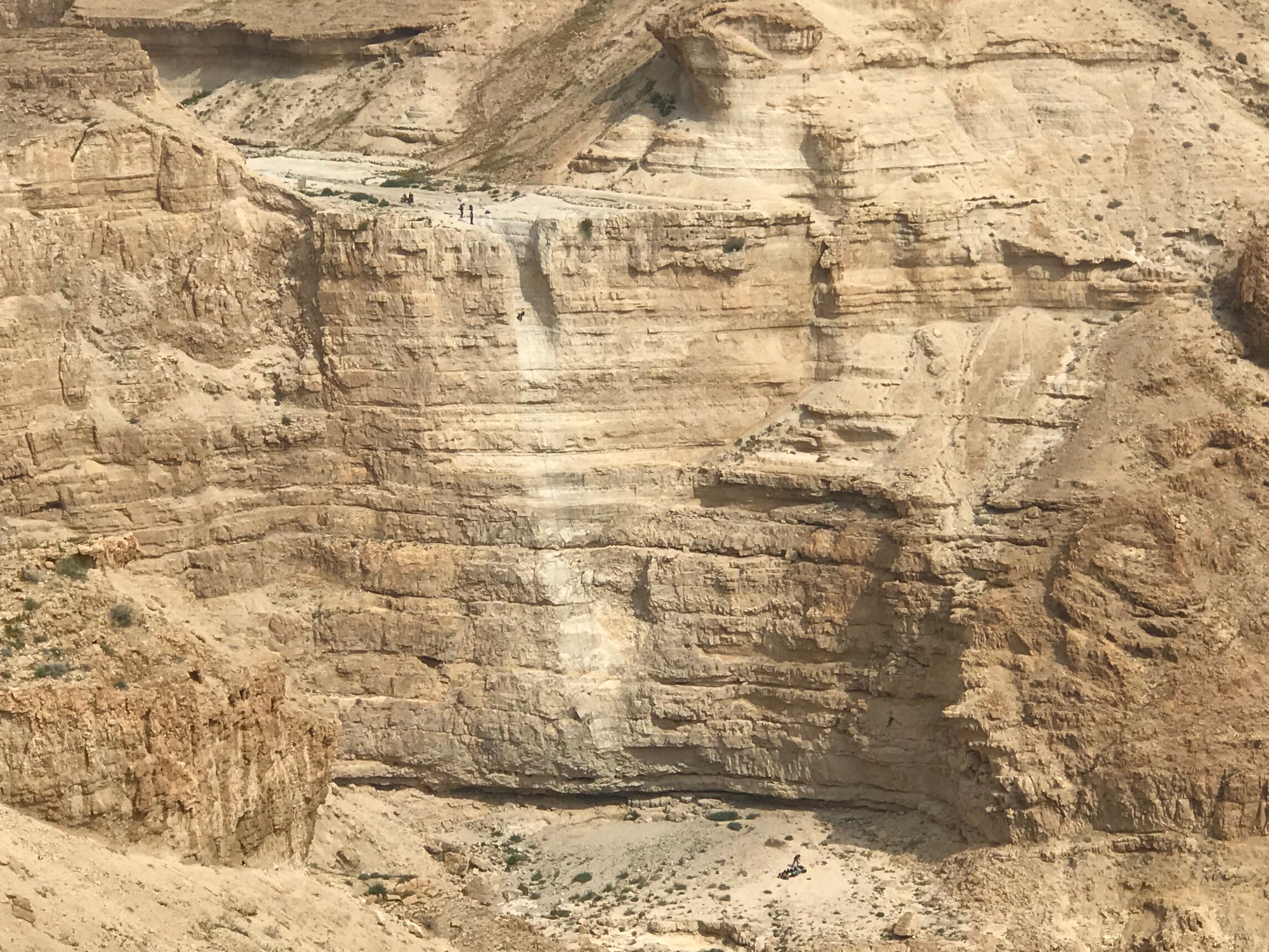 סנפלינג נחל תמרים: כיבוש הגבולות האנכיים של מדבר יהודה